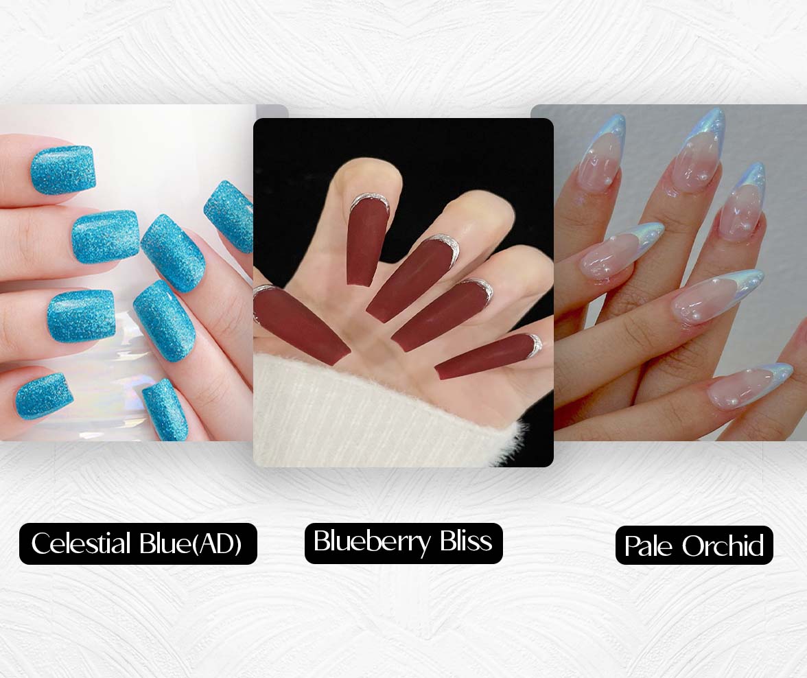 Blueberry Bliss , Pale Orchid,Celestial Blue(AD)